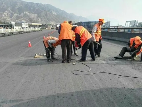 工布江达道路桥梁病害治理